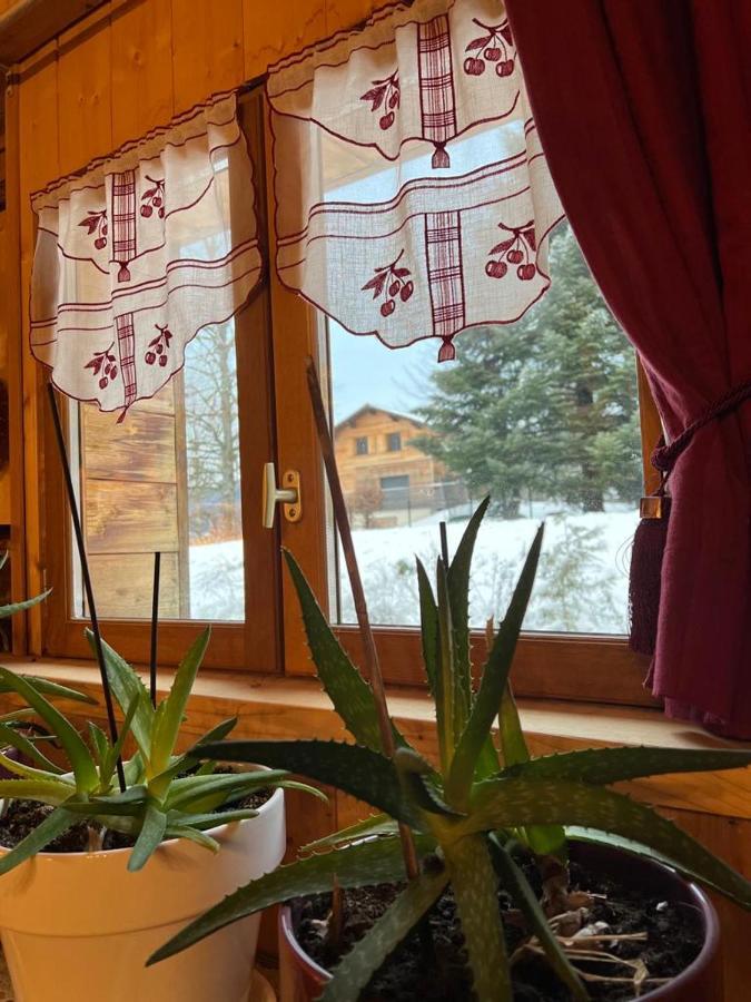 Ferme Savoyarde Renovee 2 Chambres 雷加霍斯达哈施 外观 照片